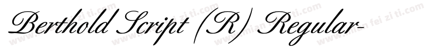 Berthold Script (R) Regular字体转换